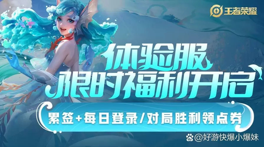 王者官网体验服