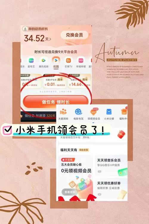 小米会员激活码 免费领取