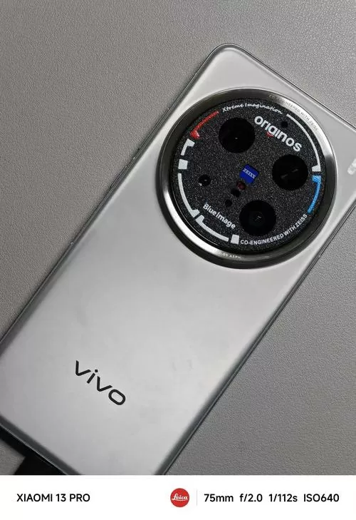 vivox300pro的左边按键是干嘛用的