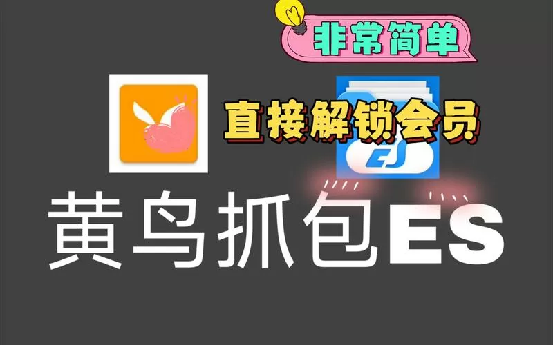 黄鸟抓包怎么用