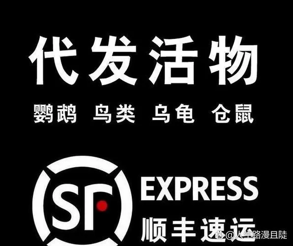 快递能不能寄宠物