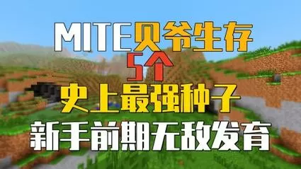 我的世界贝爷生存手机版种子
