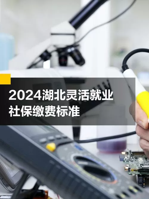 灵活就业2024收费标准
