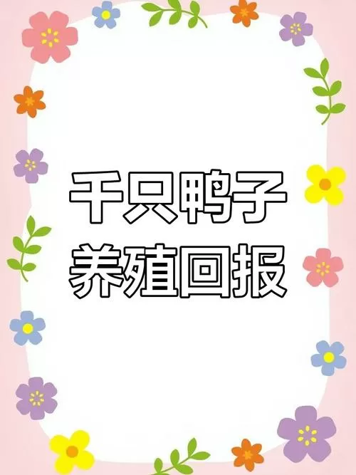 养蛋鸭1000只利润和成本