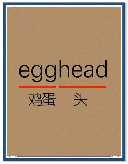 蛋单词怎么读
