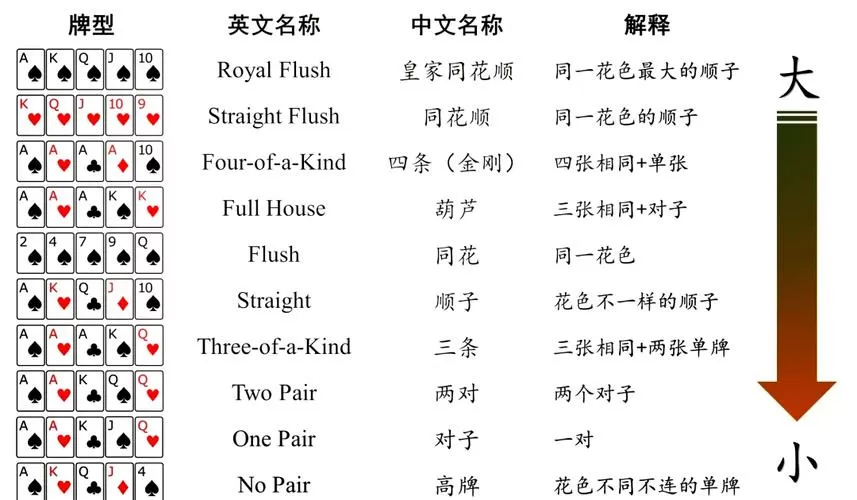 德州最全英文术语