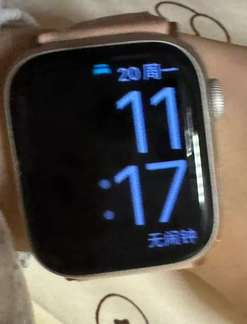 苹果手表5代屏幕没有熄灭