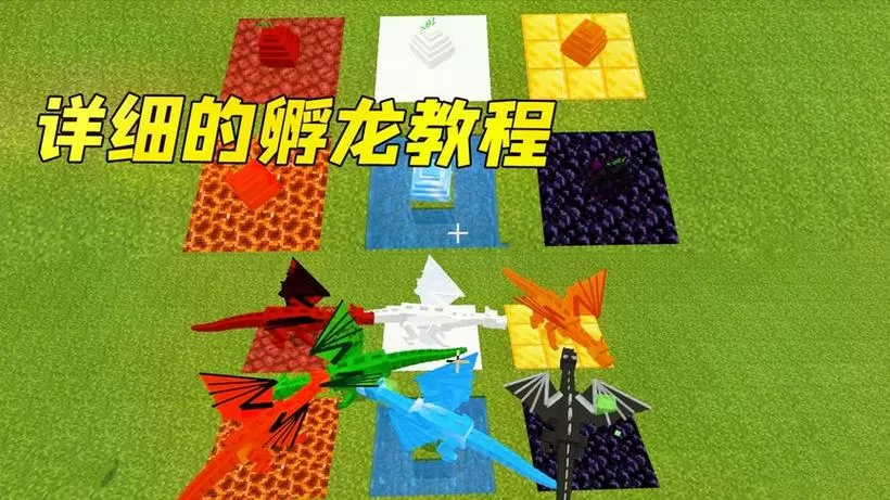 我的世界龙蛋怎么孵化更好的mc