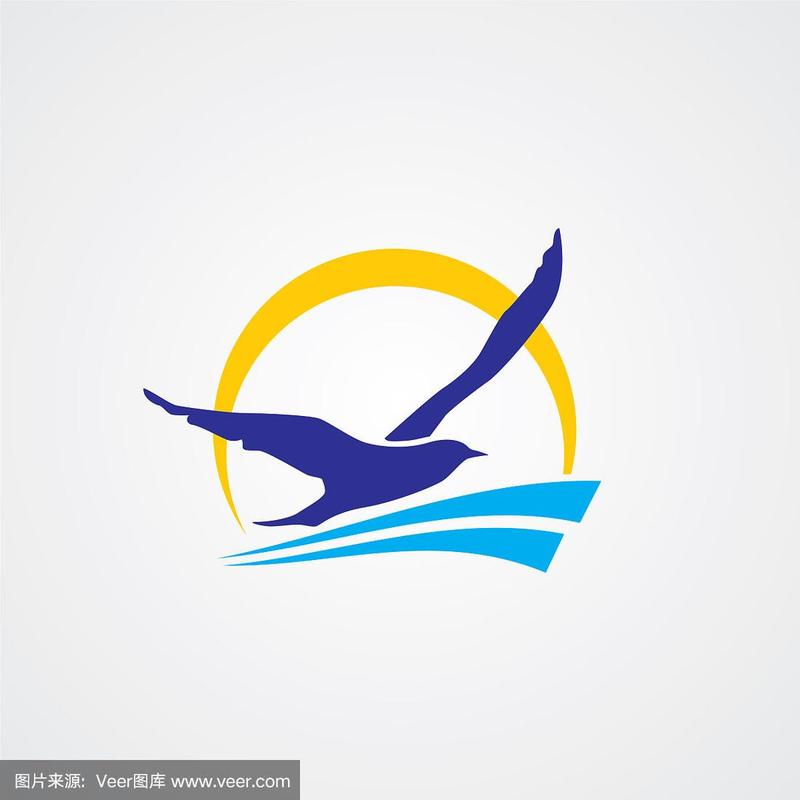 海鸥飞的视频