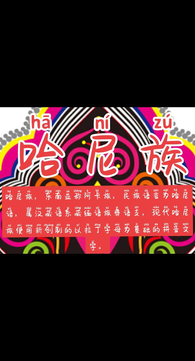 哈尼语聊现在叫什么