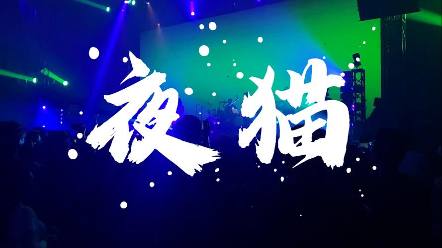 夜猫直播官方版