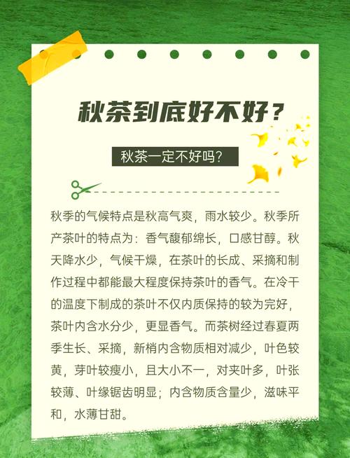秋茶语音官方免费版2023最新版本