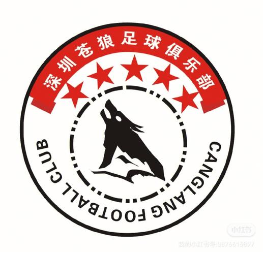 找队友
