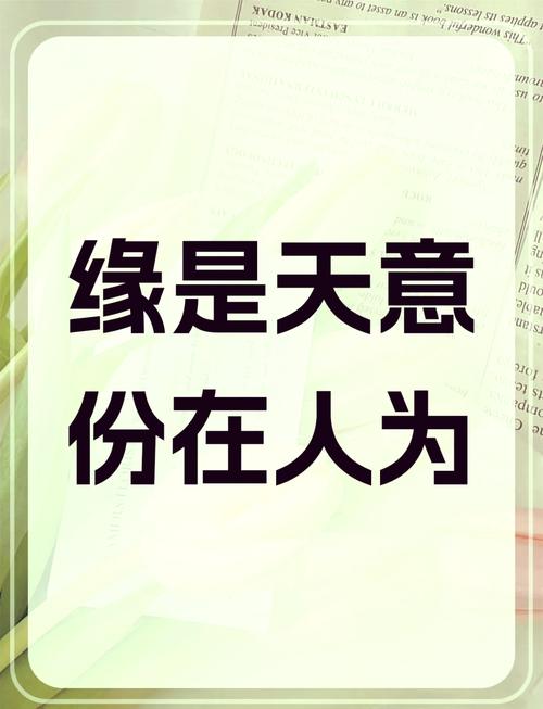 缘分是天意还是人为