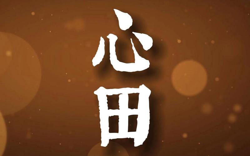 心田聊天改名叫什么了