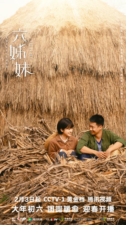佳偶成双电视剧免费观看