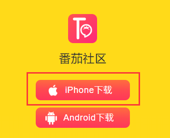 番茄社区直播改名了吗