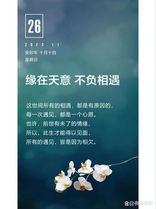 缘分的唯美短句
