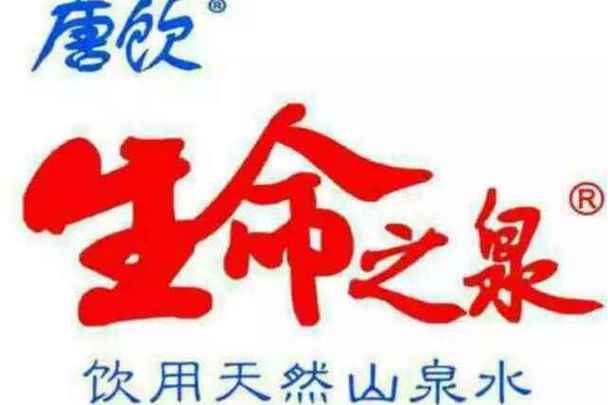 生命之泉免费中文版