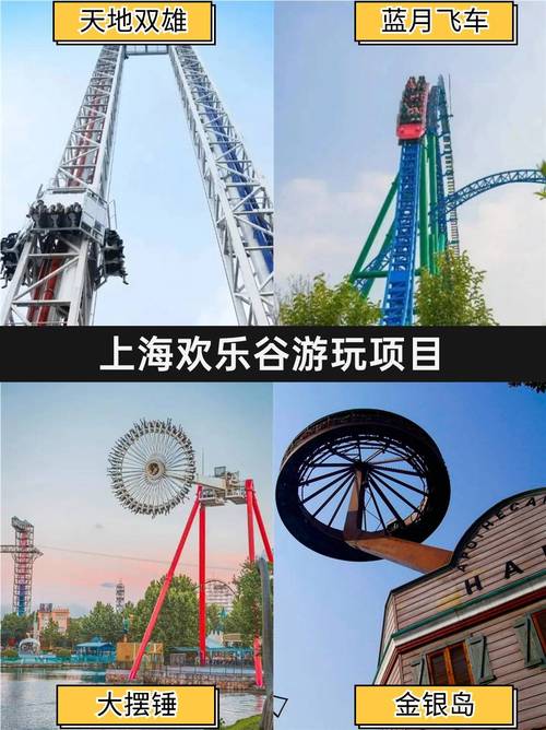 欢乐谷过山车录像回放二维码