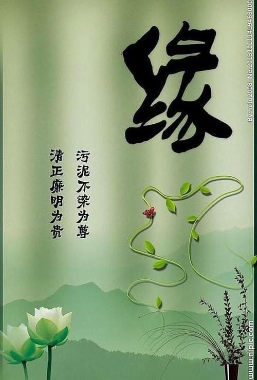 缘的最佳配句
