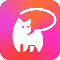 猫咪直播链接