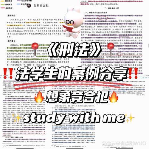 想象意合犯的解释