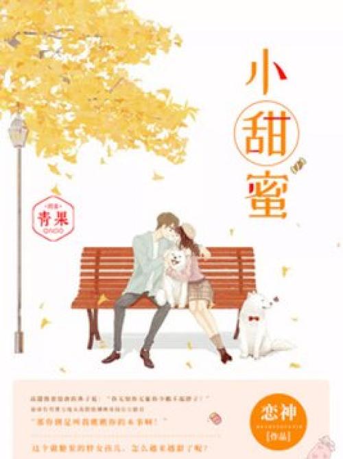 小甜蜜TXT