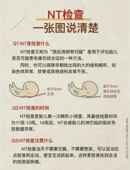 奶糖NT检查流程