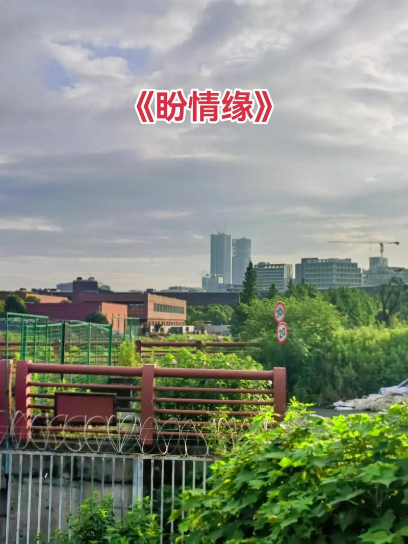 盼情缘