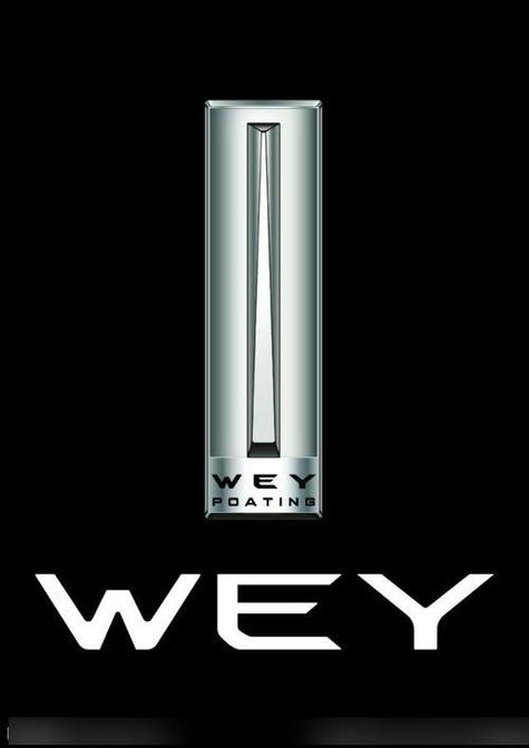 weyvv国产的suv视频