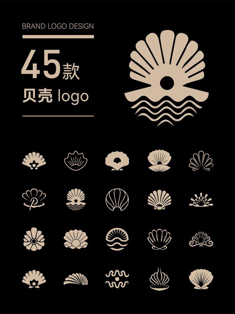 贝壳大全
