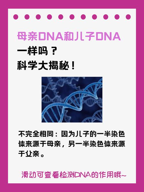 日本妈妈dna和儿子dna区别游戏截图