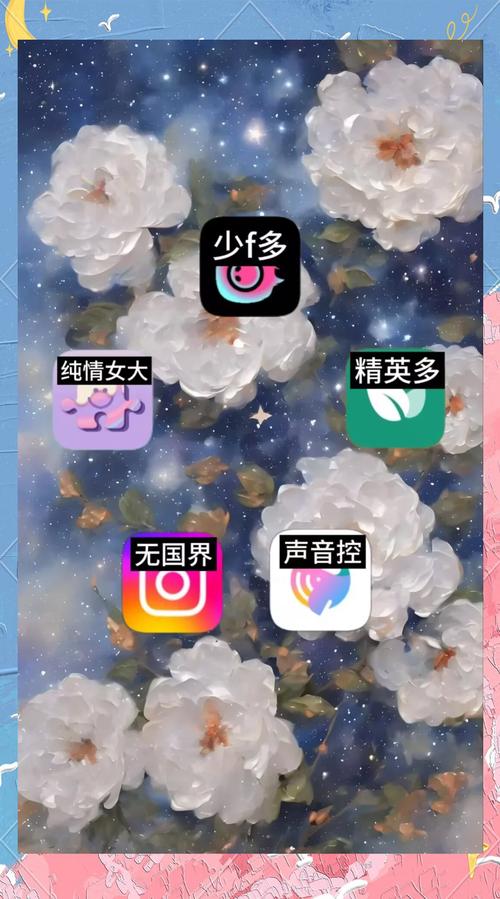 颜值视频交友app最新版本更新内容