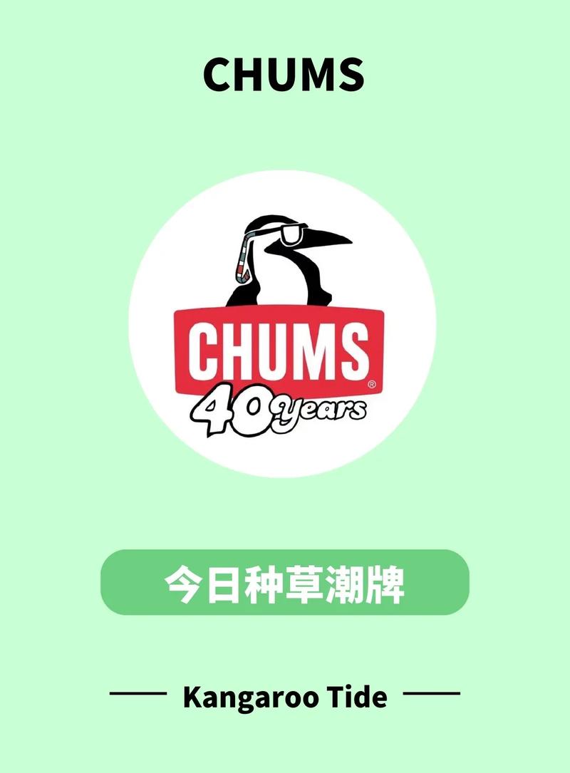玩洽现在改名叫什么