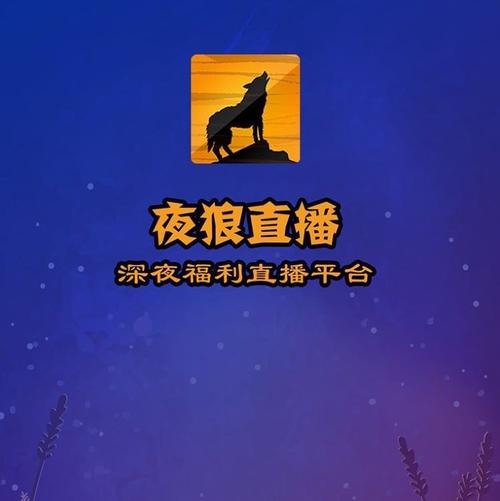 夜狼直播