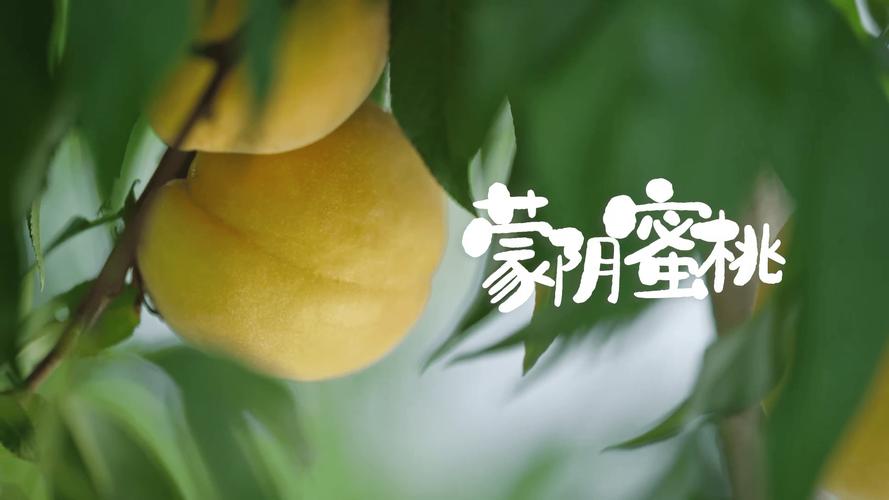 33d蜜桃成
