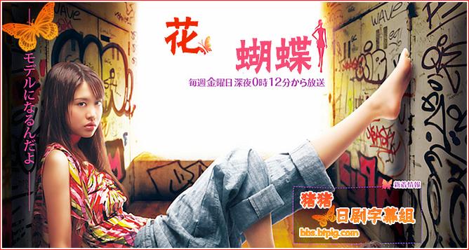 花蝴蝶7免费版大全多少煲家庭