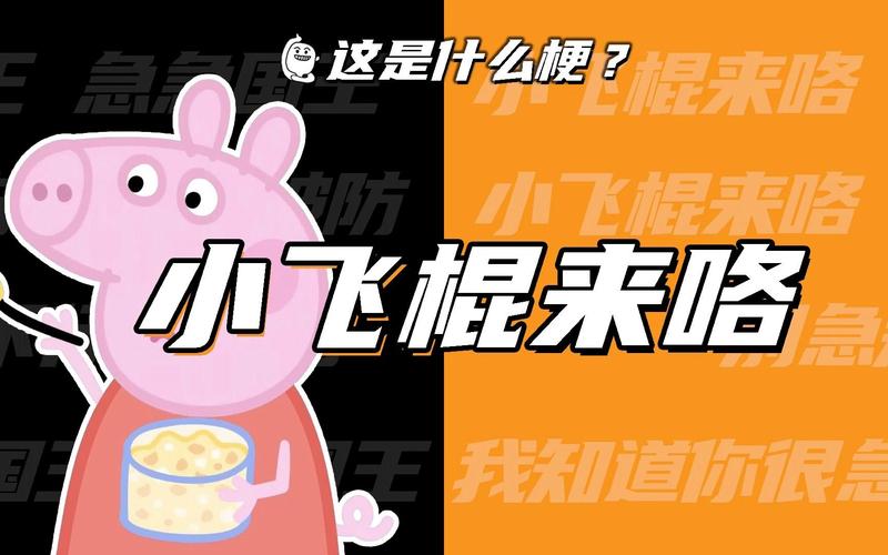 姐姐的小飞棍最经典十首歌曲截图