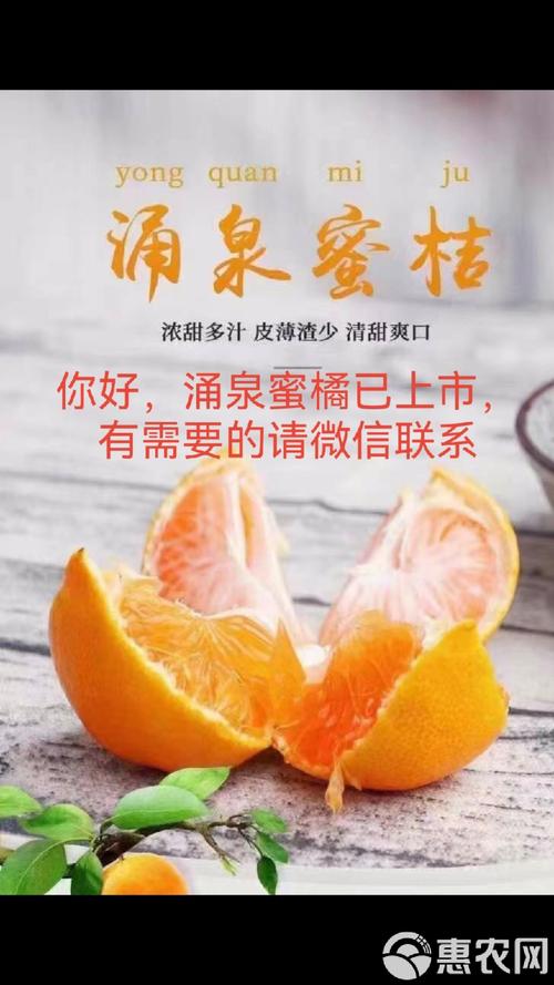蜜桔安装官网最新版