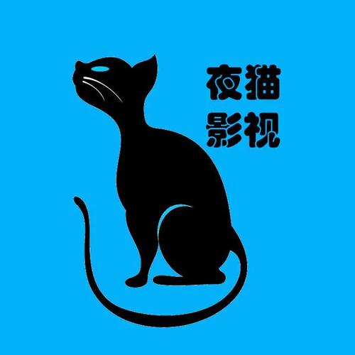 夜猫电影免费观看高清版
