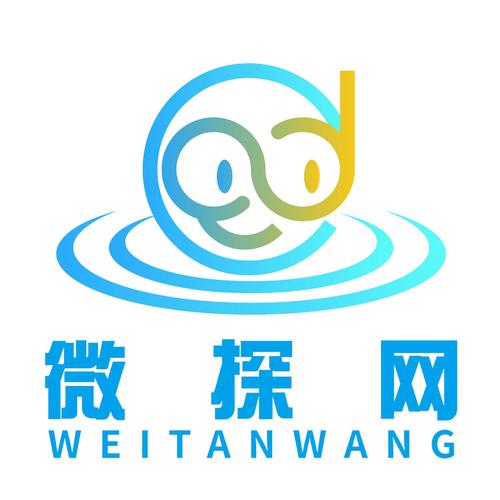 微探专业版
