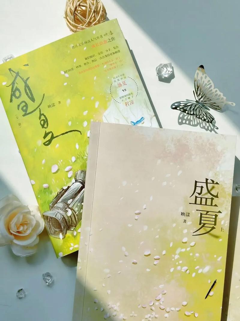 盛夏映漾小说百度云网盘