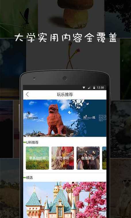 sumr字母圈app