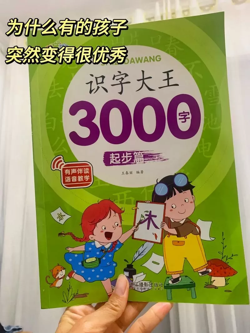 《识字大王3000字》