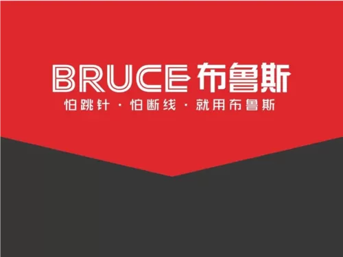 布鲁斯大师