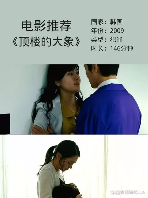 顶楼的大象女演员