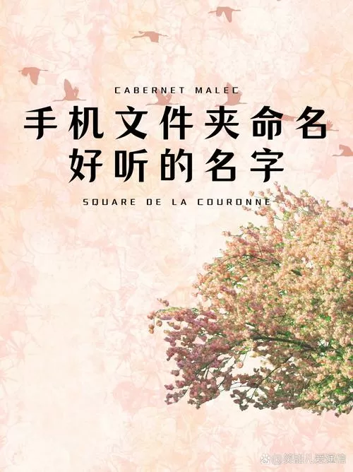 文件夹命名好听的名字