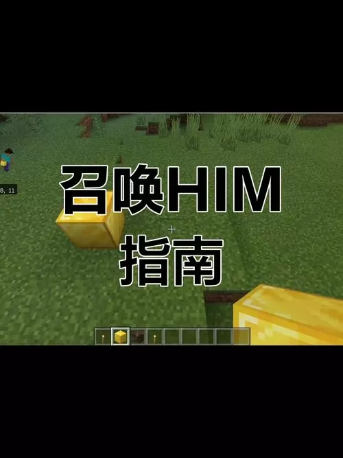 我的世界怎么把him招出