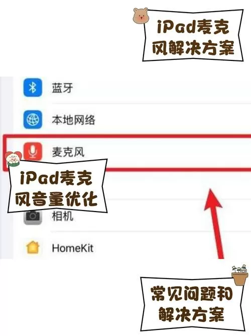 ipad麦克风模式当前不可用